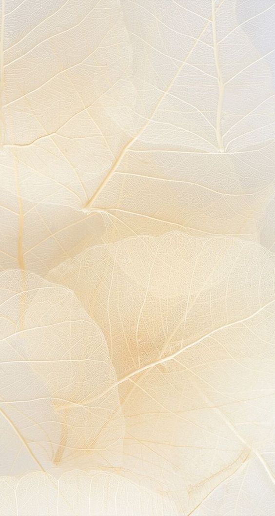 white iphone background 0054