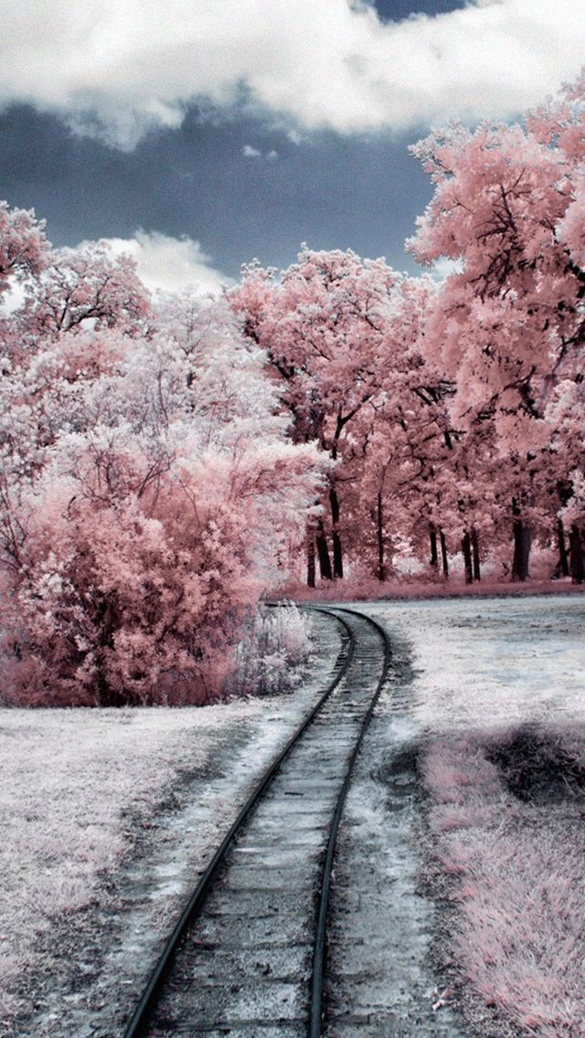 winter iphone wallpaper 4k 0033