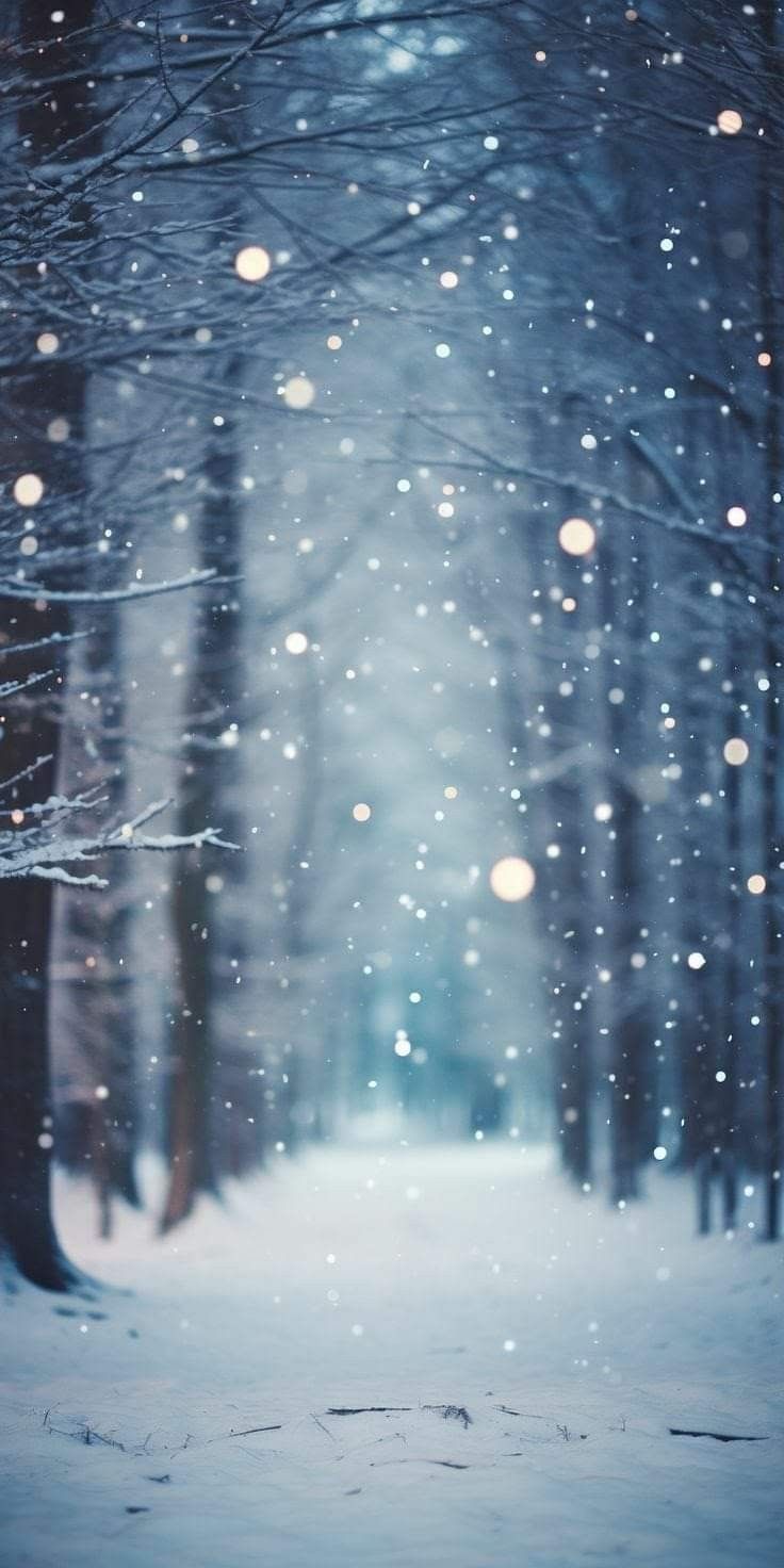 winter iphone wallpaper 4k 0069