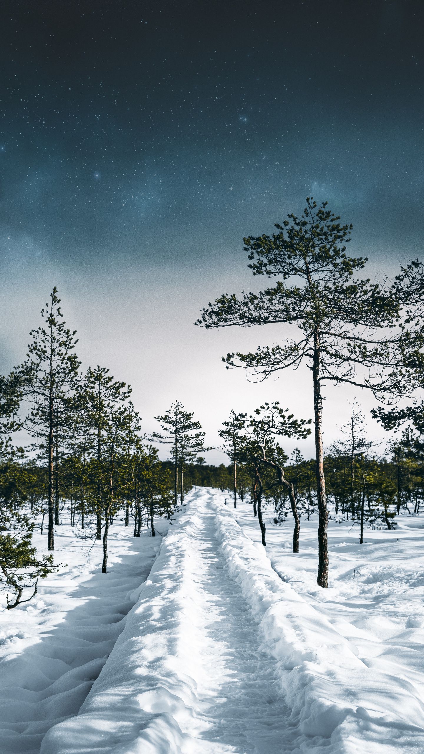 winter iphone wallpaper 4k 0072