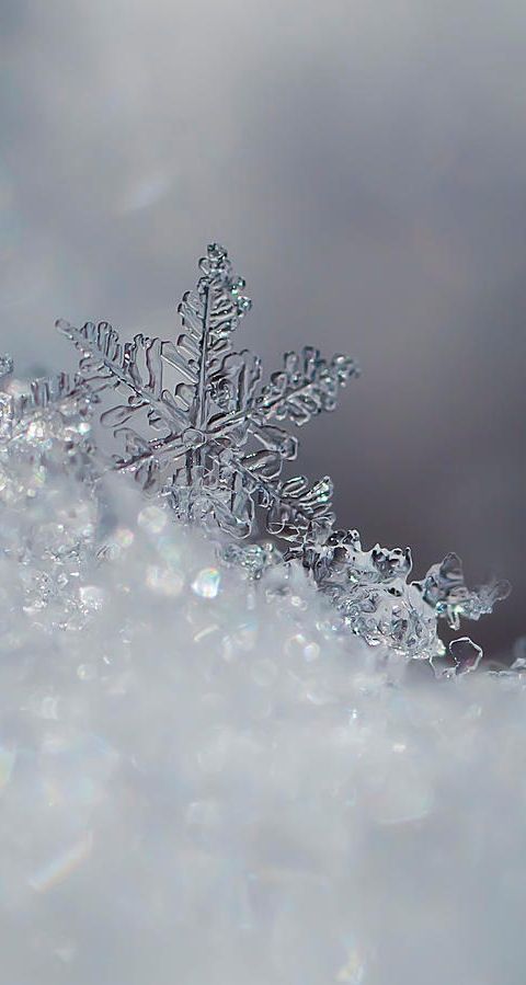 winter iphone wallpaper 4k 0091