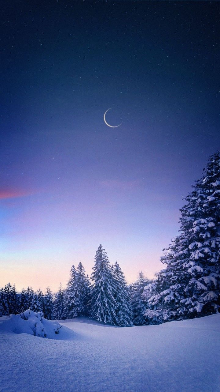 winter wonderland iphone wallpaper 0052